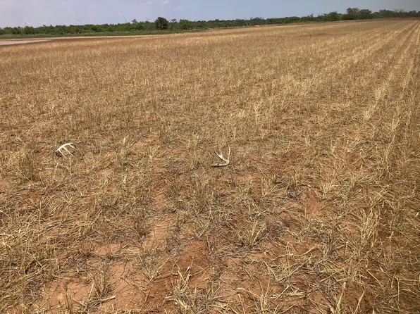 29 Cr, Tahoka, TX 79373