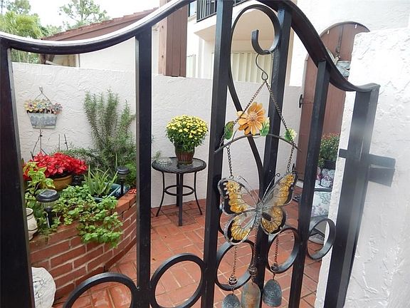 Downstairs Garden and Storage area