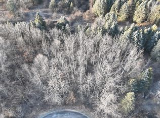 4138 Carriage Hill Dr, Metamora, MI 48455