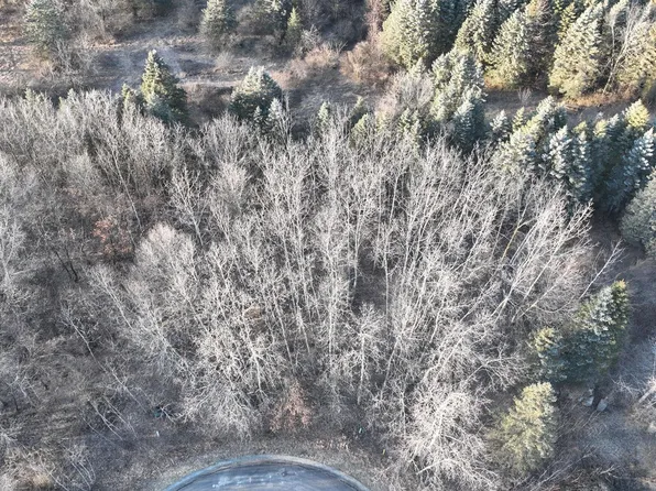 4138 Carriage Hill Dr, Metamora, MI 48455