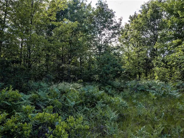 Lot 6 Highway 80 #6, Necedah, WI 54646