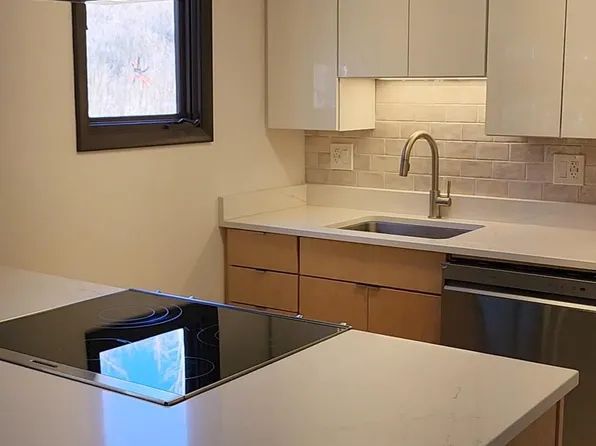 2099 Chamonix Ln APT 1A, Vail, CO 81657