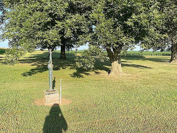 Mature trees on property 
