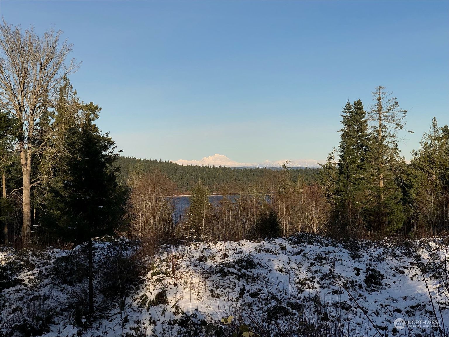 153 xx Liberty Street, Pt Hadlock, WA 98339 Zillow