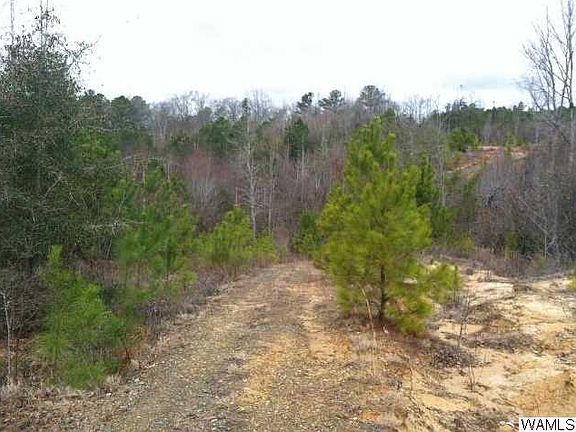 4th image of 12799 Baxter Dr