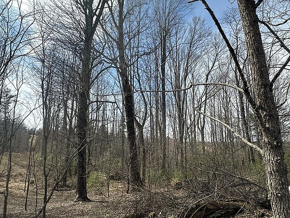 38th image of this home