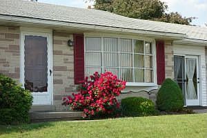 5th image of 329 W Carpenter Ave