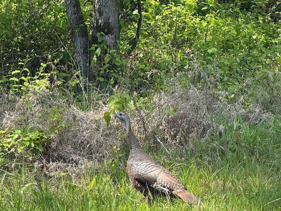 1st image of 0 Smithers Rd