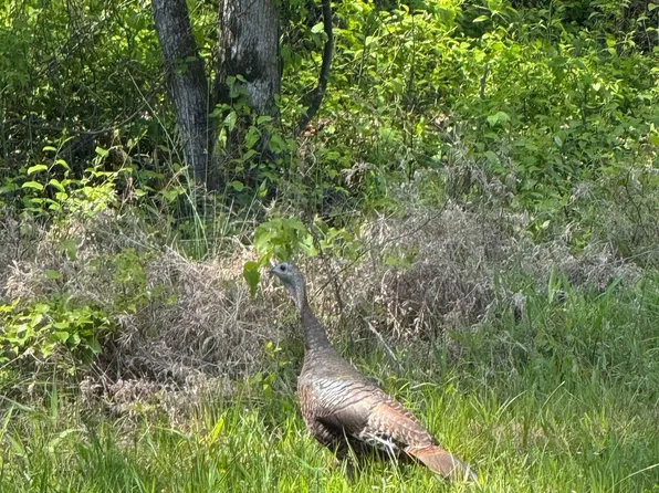 0 Smithers Rd, Paron, AR 72122