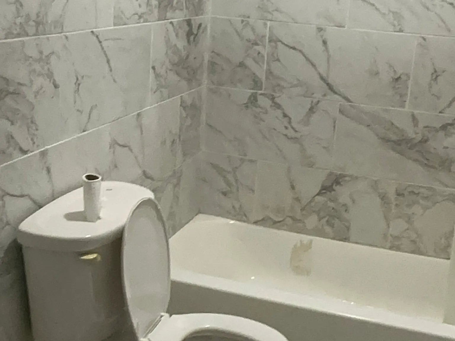 1 bed, 2100 sqft, $1,100 — Photo 2