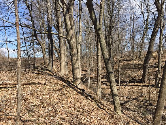 5th image of 5450 Natures Place Dr