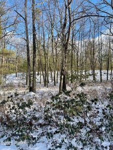 209 Laurel Dr, Shohola, PA, 18458