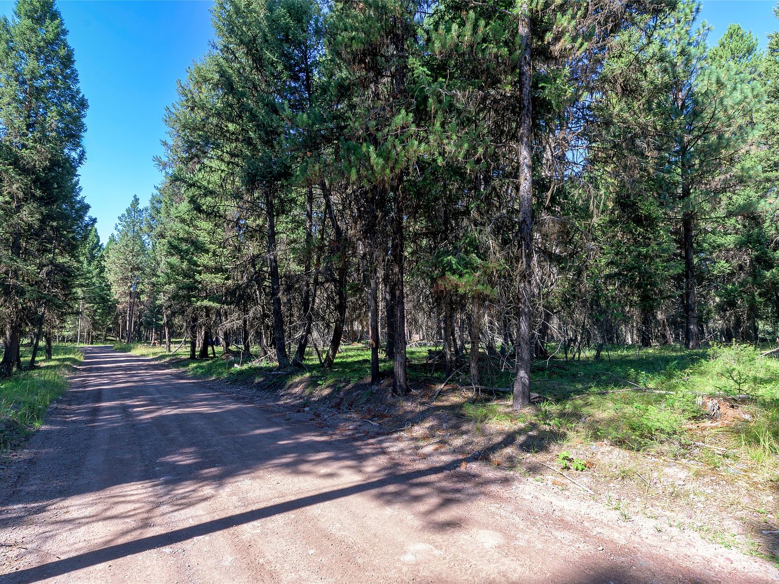 181 Fawn Ln, Seeley Lake, MT 59868 | Zillow