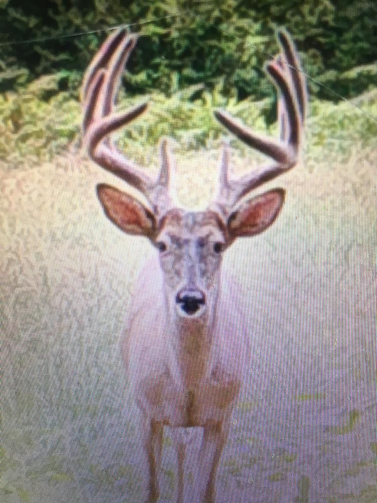 Sfc 430 Gore St, Widener, AR 72394 MLS 40862 Zillow