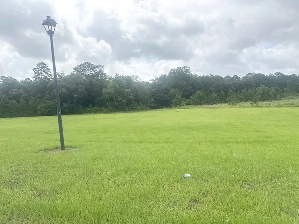 Township Road 1 Grand Island Dr, Leesburg, GA 31763