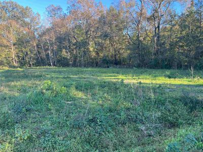 1113 Holly Dr, Slaughter, LA, 70777