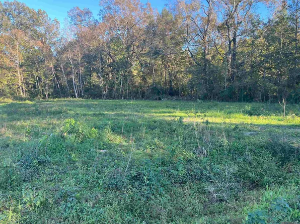 1113 Holly Dr, Slaughter, LA 70777