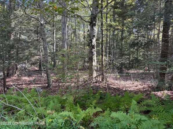 166 George Dr, Blakeslee, PA 18610