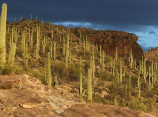 12865 E Cabeza De Vaca, Tucson, AZ 85749