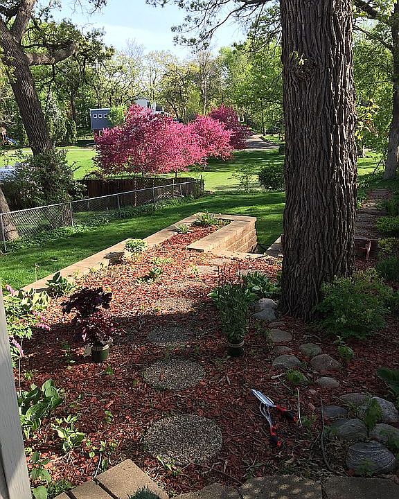 Rear yard early spring