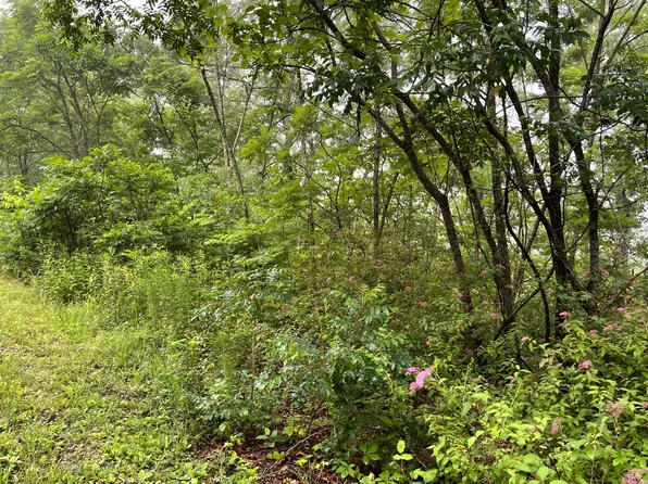 7 Trillium Ln, Brasstown, NC 28902