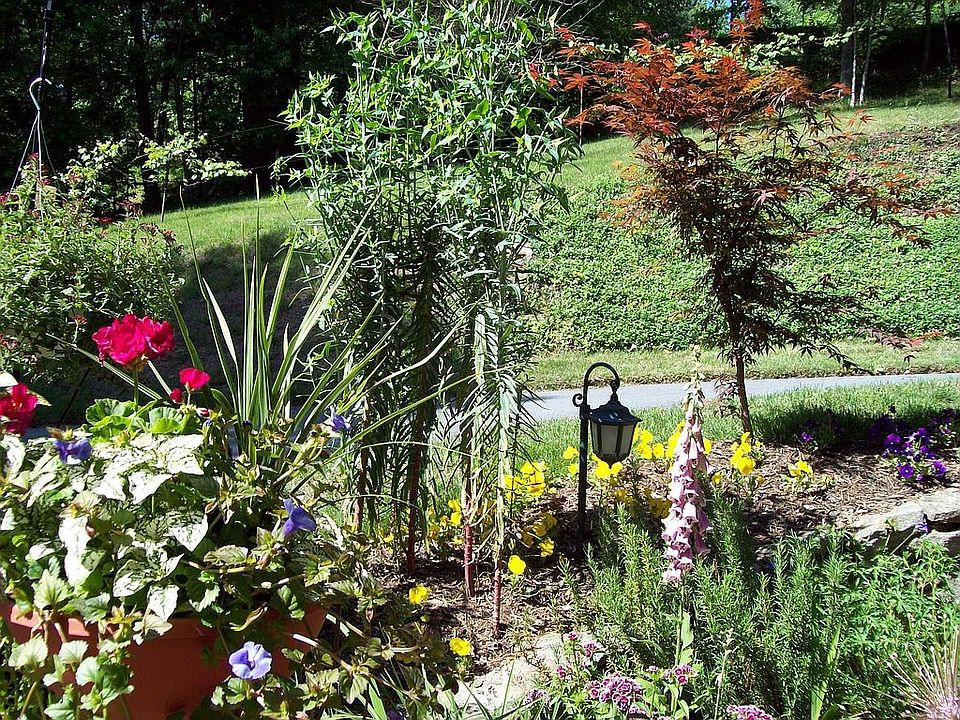 Patio Garden