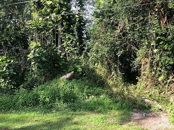 2nd image of 15-2727 N Ohiki St Lot 7