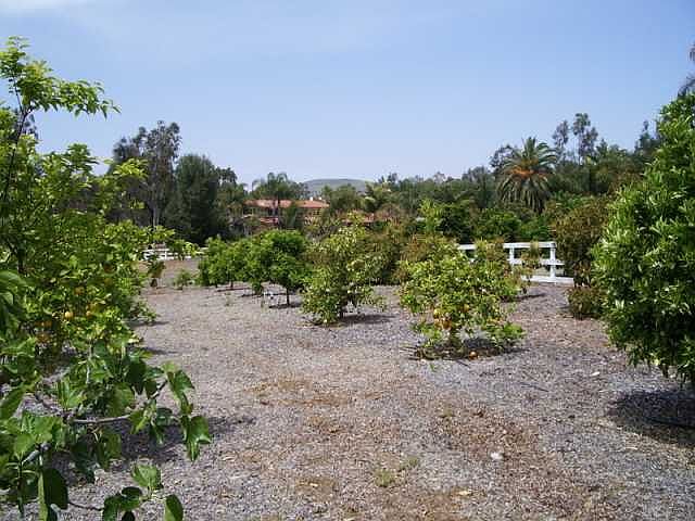 2nd image of 3317 Fortuna Ranch Rd