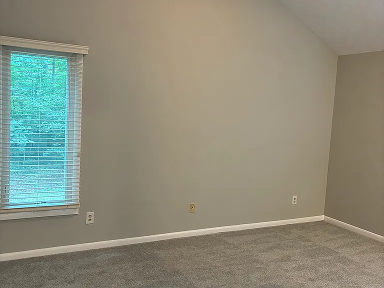 Main bedroom with vaulted ceiling
