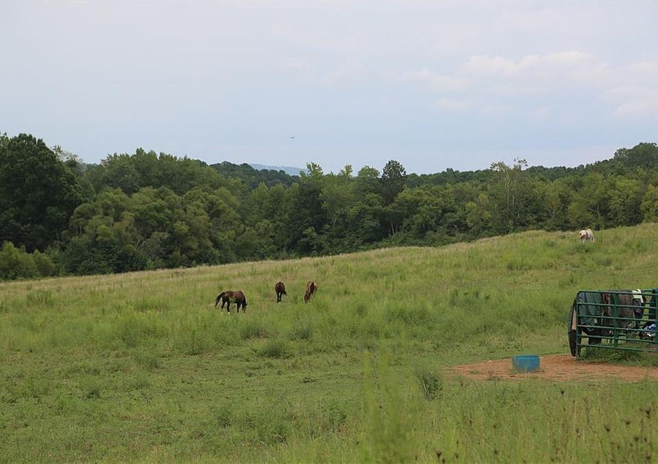 0 Dabbs Bridge Rd, Dallas, GA 30132 Zillow