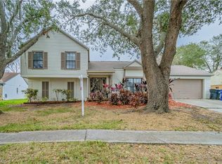 1314 Peachfield Dr, Valrico, FL 33596