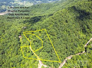 Eli Ridge Rd, Clyde, NC 28721