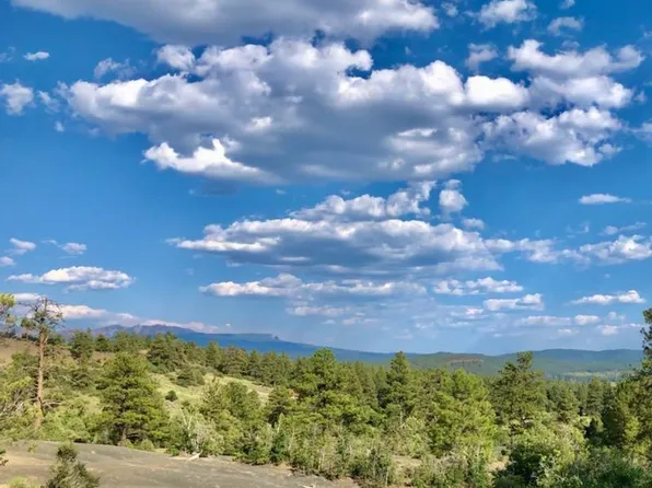 776 Quien Sabe Street, Pagosa Springs, CO 81147
