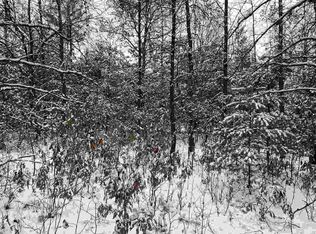 LOT 1 Ranger Rd, Nekoosa, WI 54457