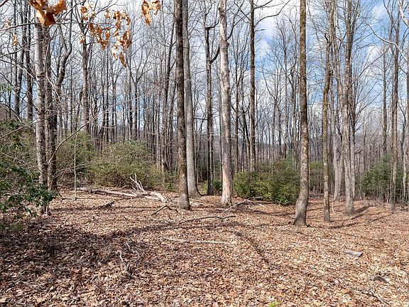 5th image of 66 The Cliffs Pkwy