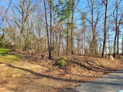 0 Clearwater Point Rd #5, Cropwell, AL, 35054