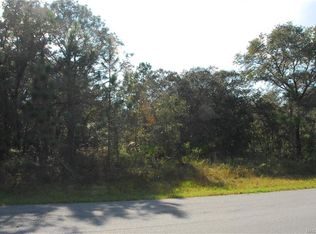 1454 W Manchester Dr, Dunnellon, FL 34434
