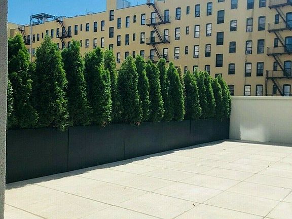 3rd image of 510 Flatbush Ave APT 2B