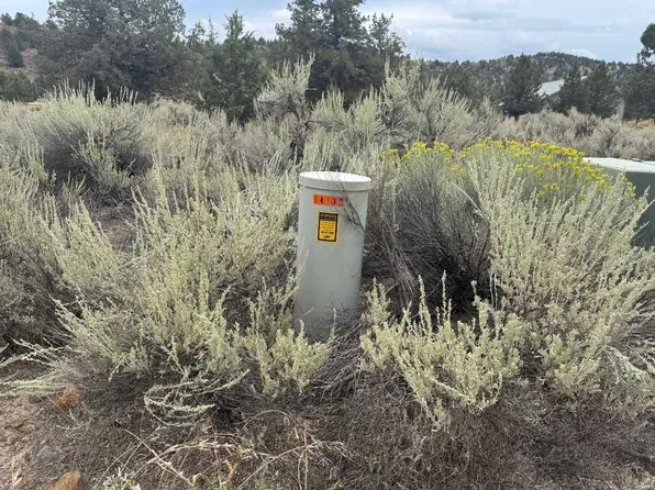 9-1 Riverside Dr Lot 174, Weed, CA 96094