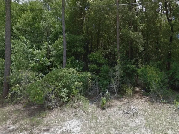 1409 Stowe St, Inverness, FL 34450