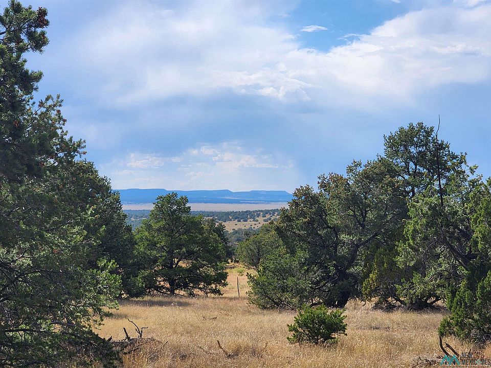 1st image of 136 Ponderosa View Loop