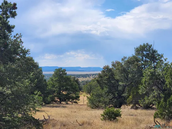 136 Ponderosa View Loop, Pie Town, NM 87827