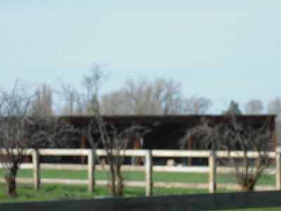 Pasture/Orchard