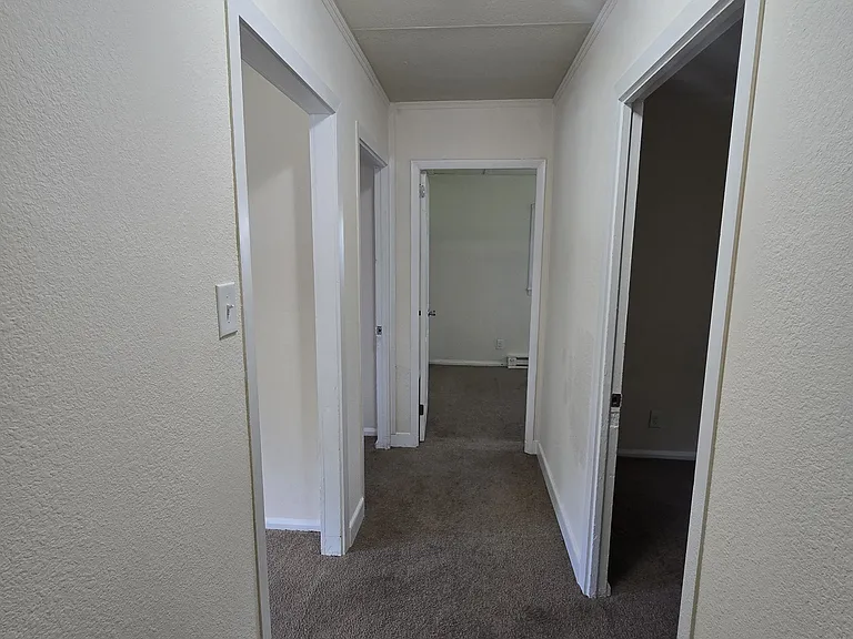 1025 Bradley Ln — Photo 10