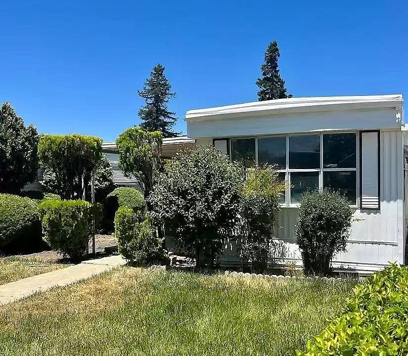 Lawn, Trees, Greenbelt
