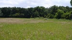 New Subdivision bring your own builder