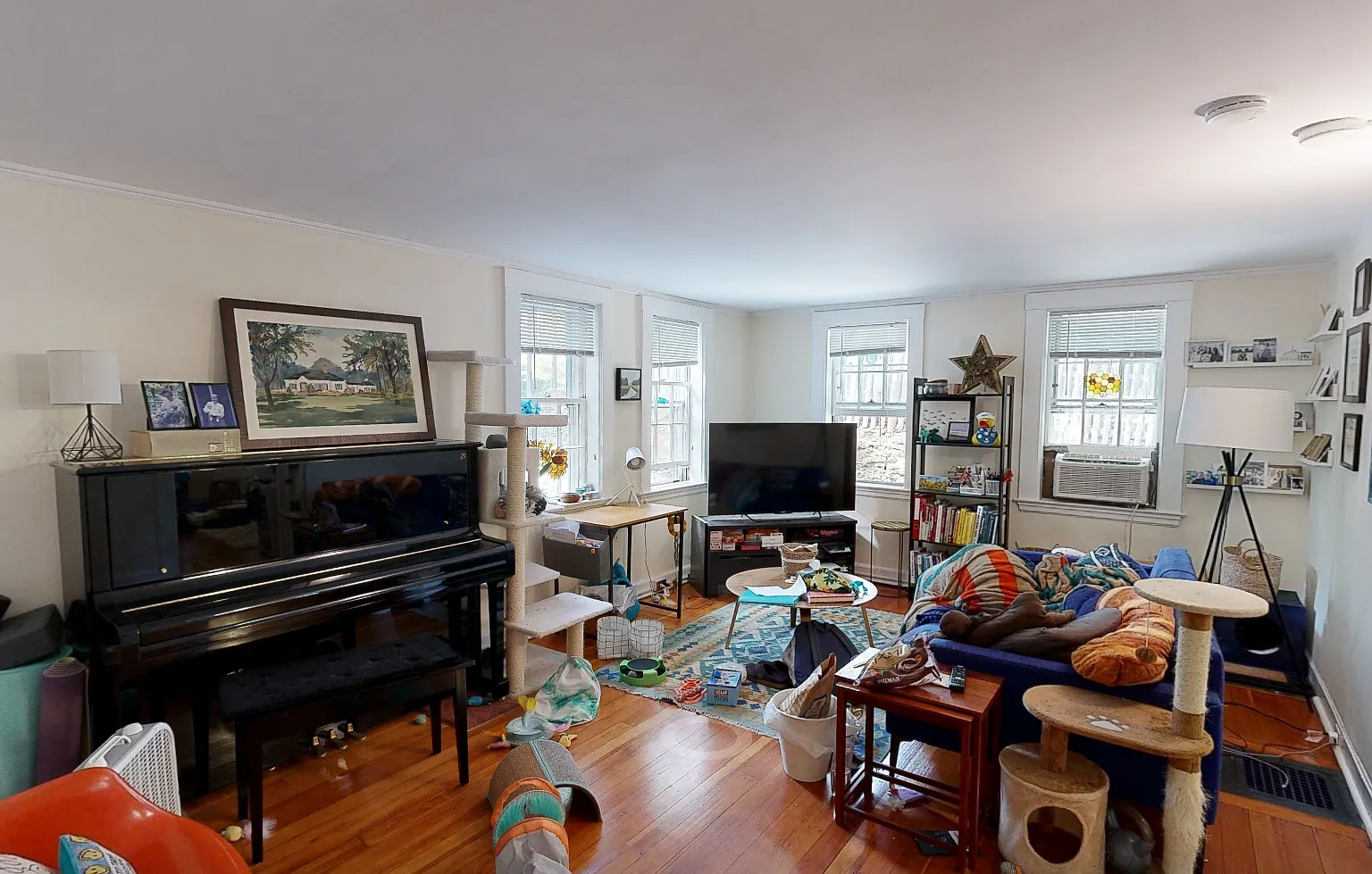 1 bed, 550 sqft, $2,900 — Photo 4