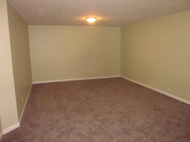 Basement - Bonus Room