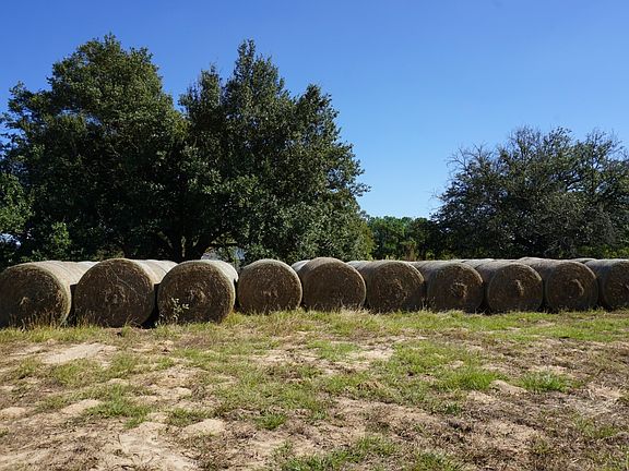 2nd image of County Road 4301 Plainview Rd