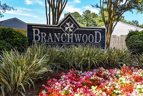 Branchwood Photo 1